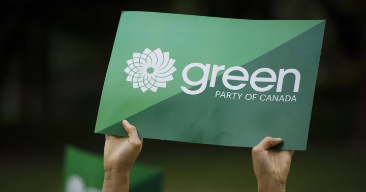 Green Party MPs threaten to leave party if leadership race suspended