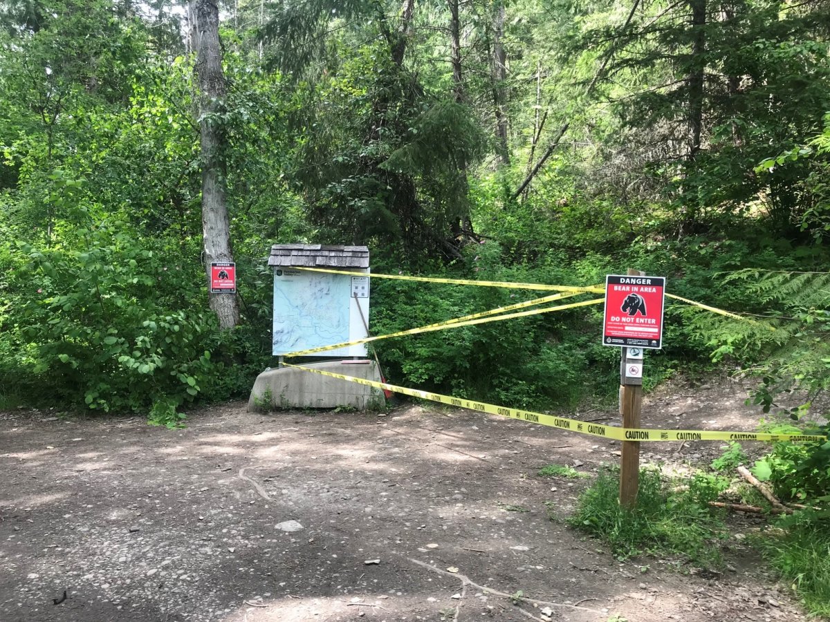 A popular trail near Pemberton has been closed after a bear charged and bit a woman on Monday. 