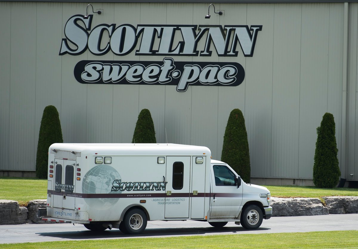 Scotlynn Sweetpac Growers, one of Canada’s largest employers of migrant farmworkers, pleaded guilty to one count of failing to take reasonable precautions to protect employees and agreed to pay a $125,000 fine plus a 25 per cent surcharge.