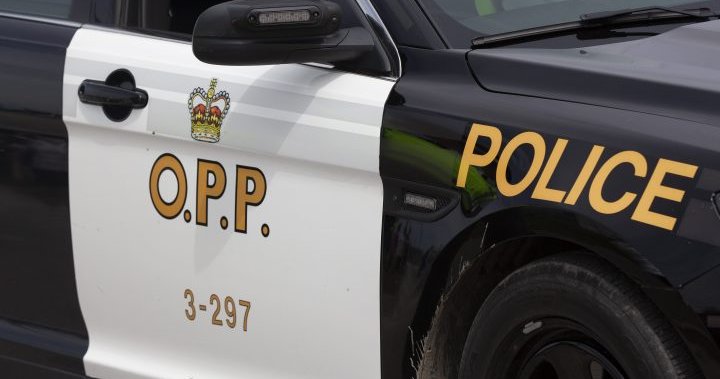 No injuries after infant accidentally locked in vehicle with keys in Dutton-Dunwich: OPP
