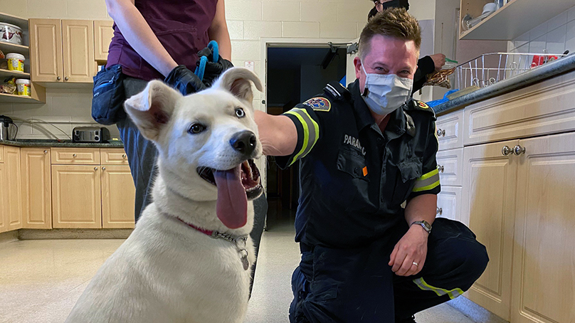 Station Doggie Dates program helps increase morale of first responders