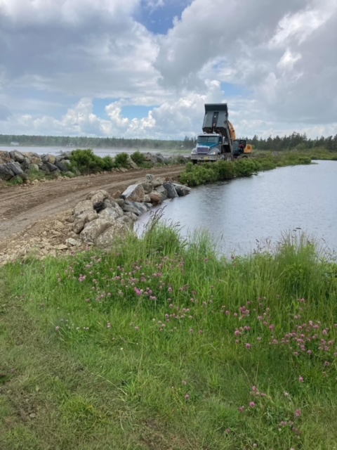 Kelly was fined late last month for altering a watercourse by partially infilling a pond.