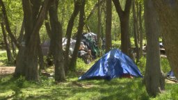 Continue reading: Kingston, Ont. council votes to remove encampments from public spaces