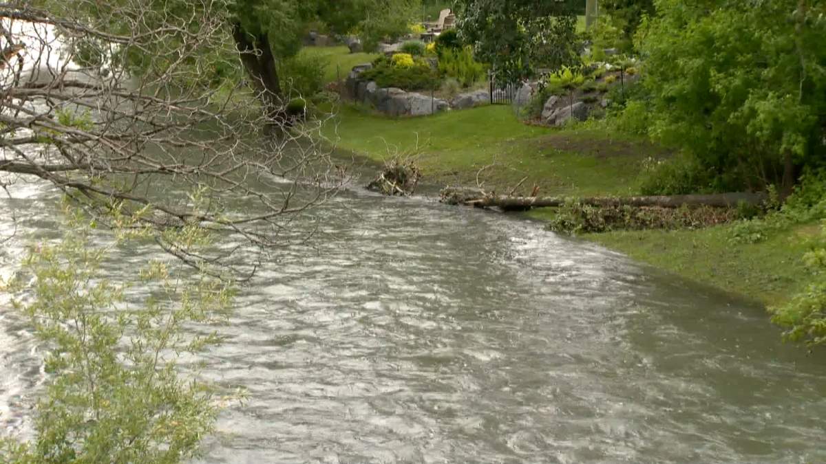 Water levels on the Elbow River in Calgary Monday, June 13, 2022.