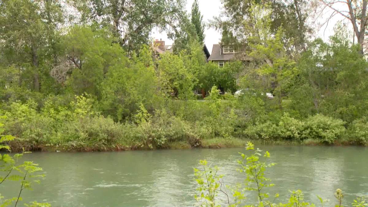 Water levels on the Elbow River in Calgary Monday, June 13, 2022.