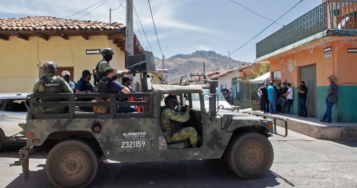 11 people and monkey in ‘bulletproof’ vest killed in Mexican cartel shootout