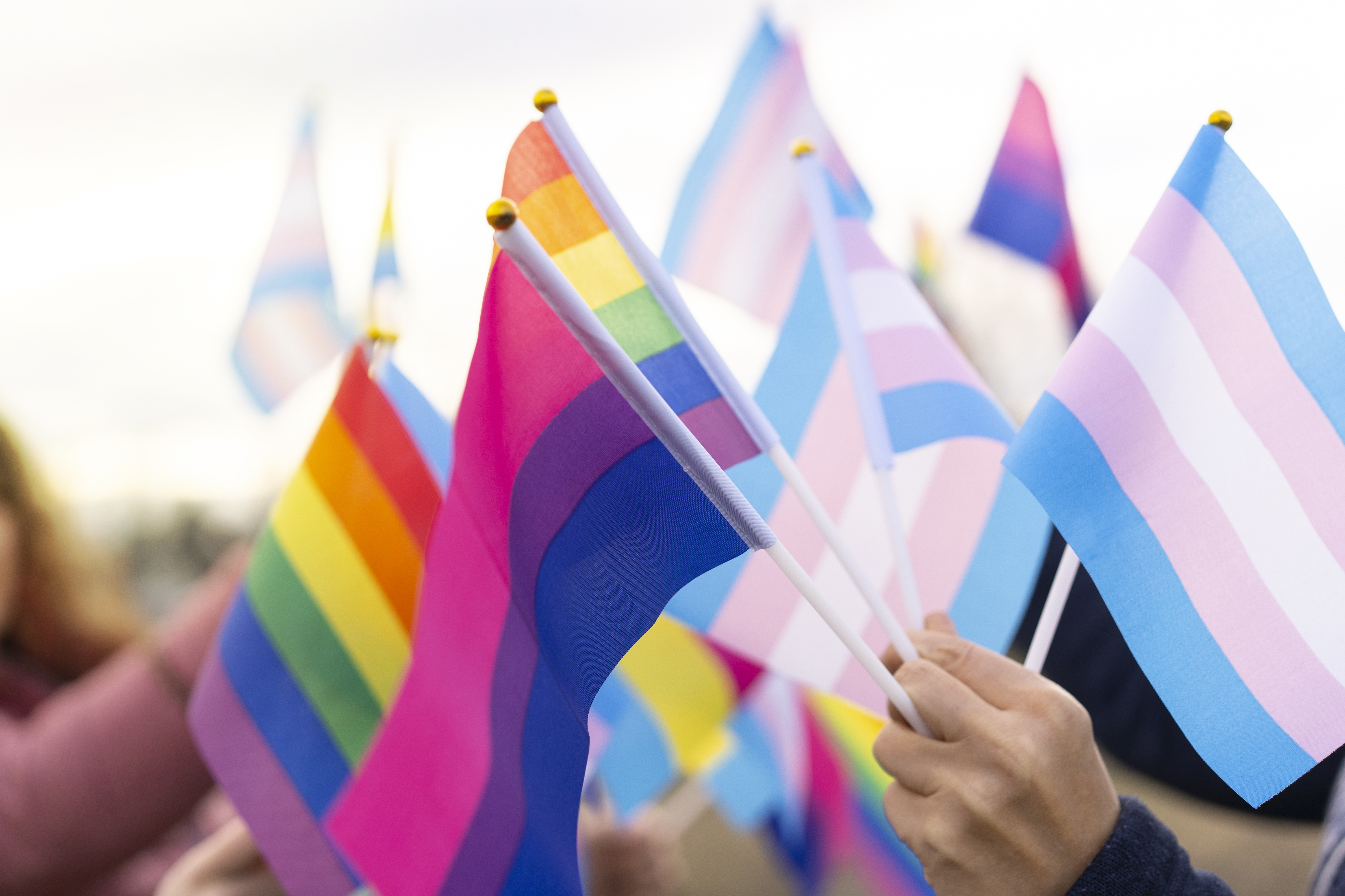 Not rigidly defined Bisexual people still fight to overcome stereotypes, stigma Globalnews.ca image