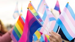 The pink, purple and blue bisexual flag, surrounded by flags for transgender and gay people.