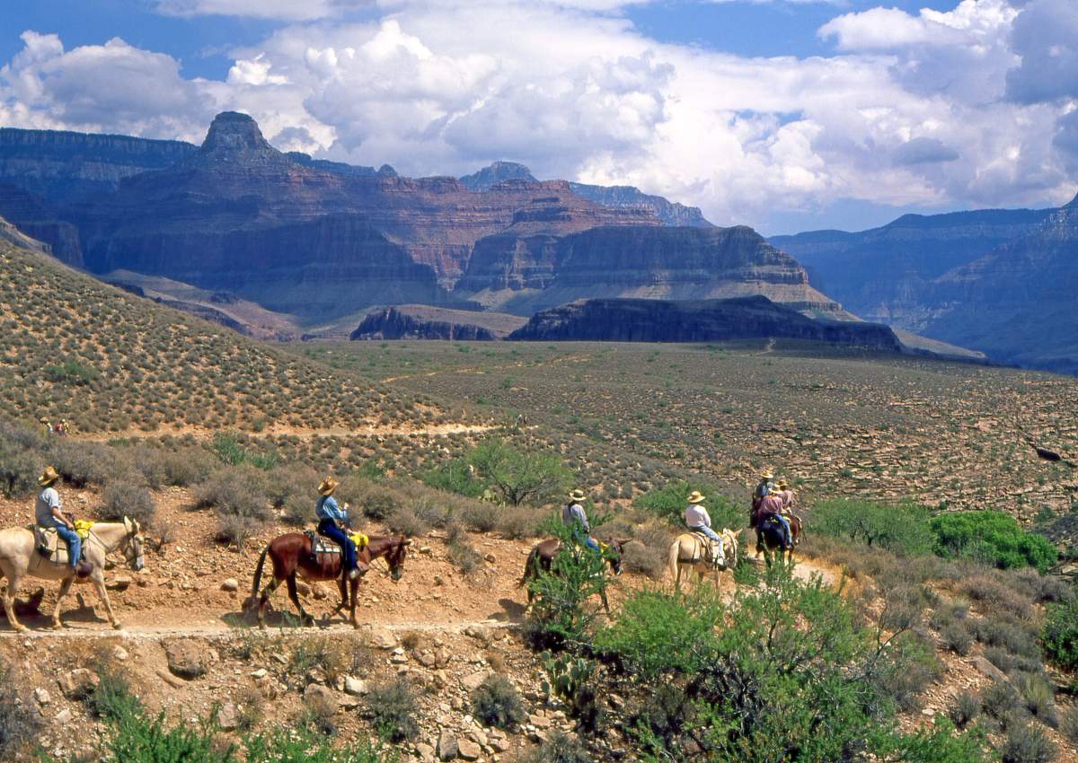 Bright Angel Trail, Grand Canyon National Park, USA. 
