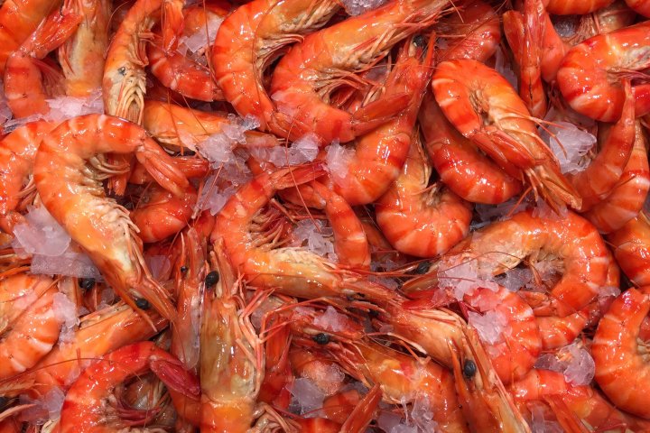 Tri Star Seafood Supply Ltd. brand live spot prawns recalled due to norovirus risk