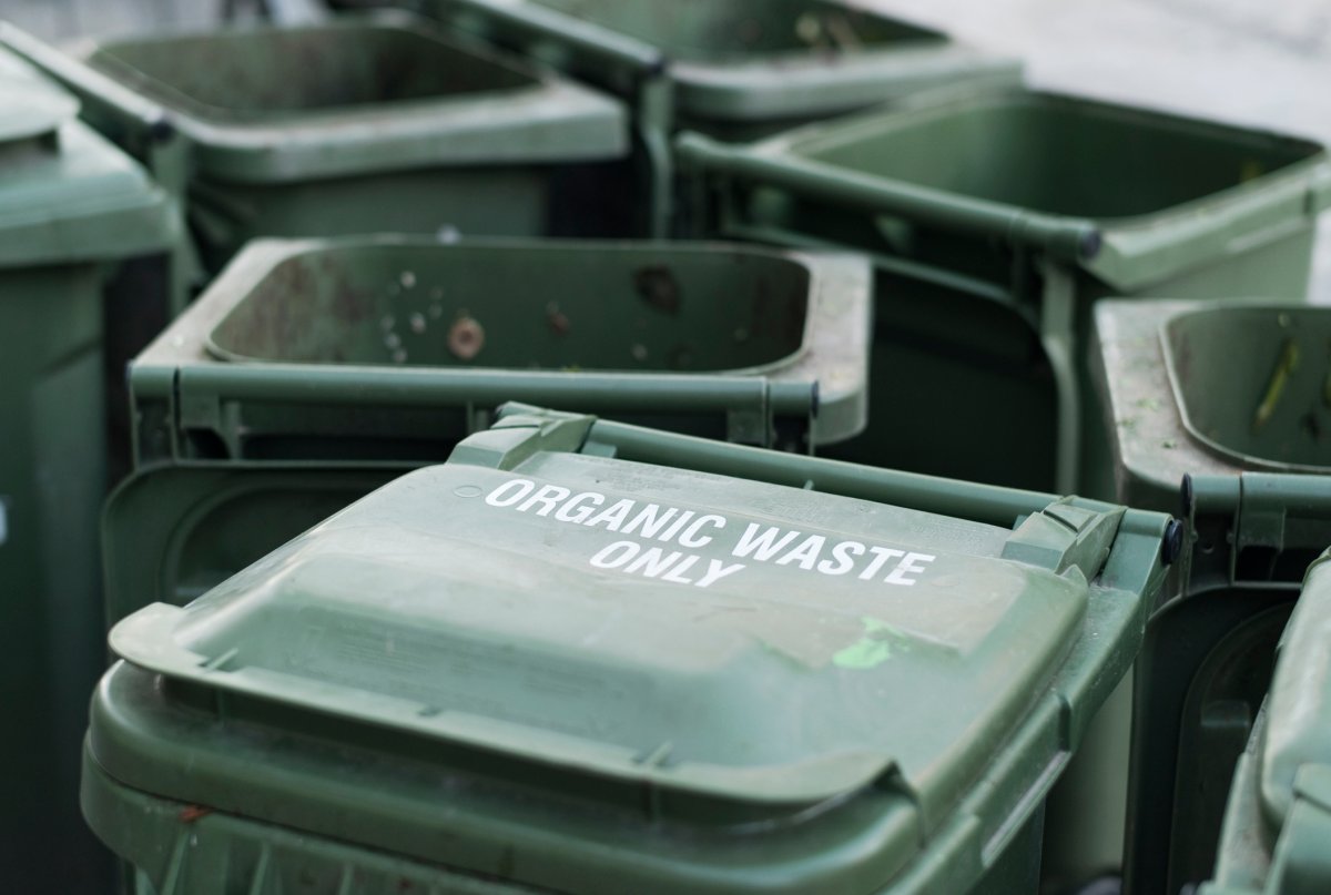 Green bin program rollout delayed again in London, this time due to supply chain issues - image