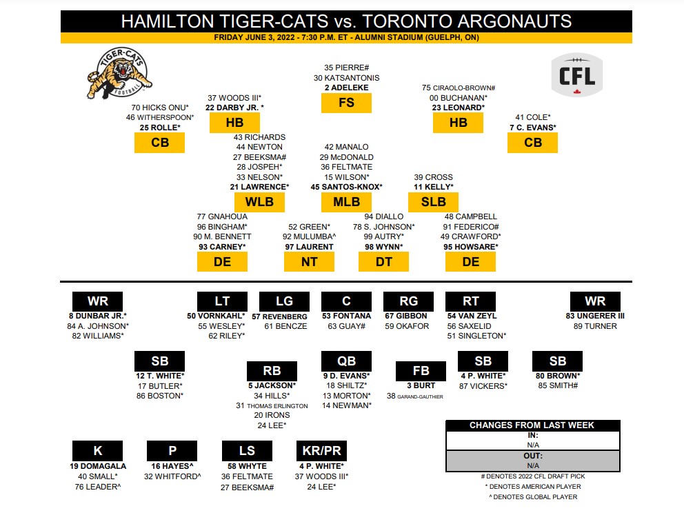 Former Ticats star says 2013 season in Guelph was ‘a blast’ - image