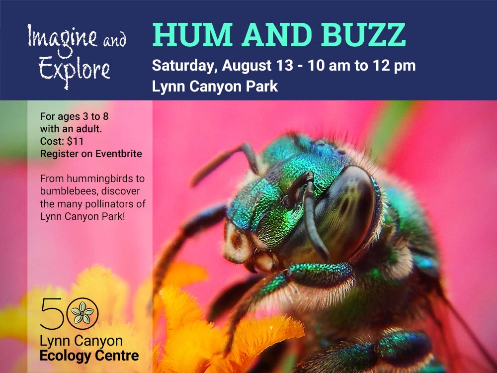 Imagine & Explore: Hum and Buzz - image