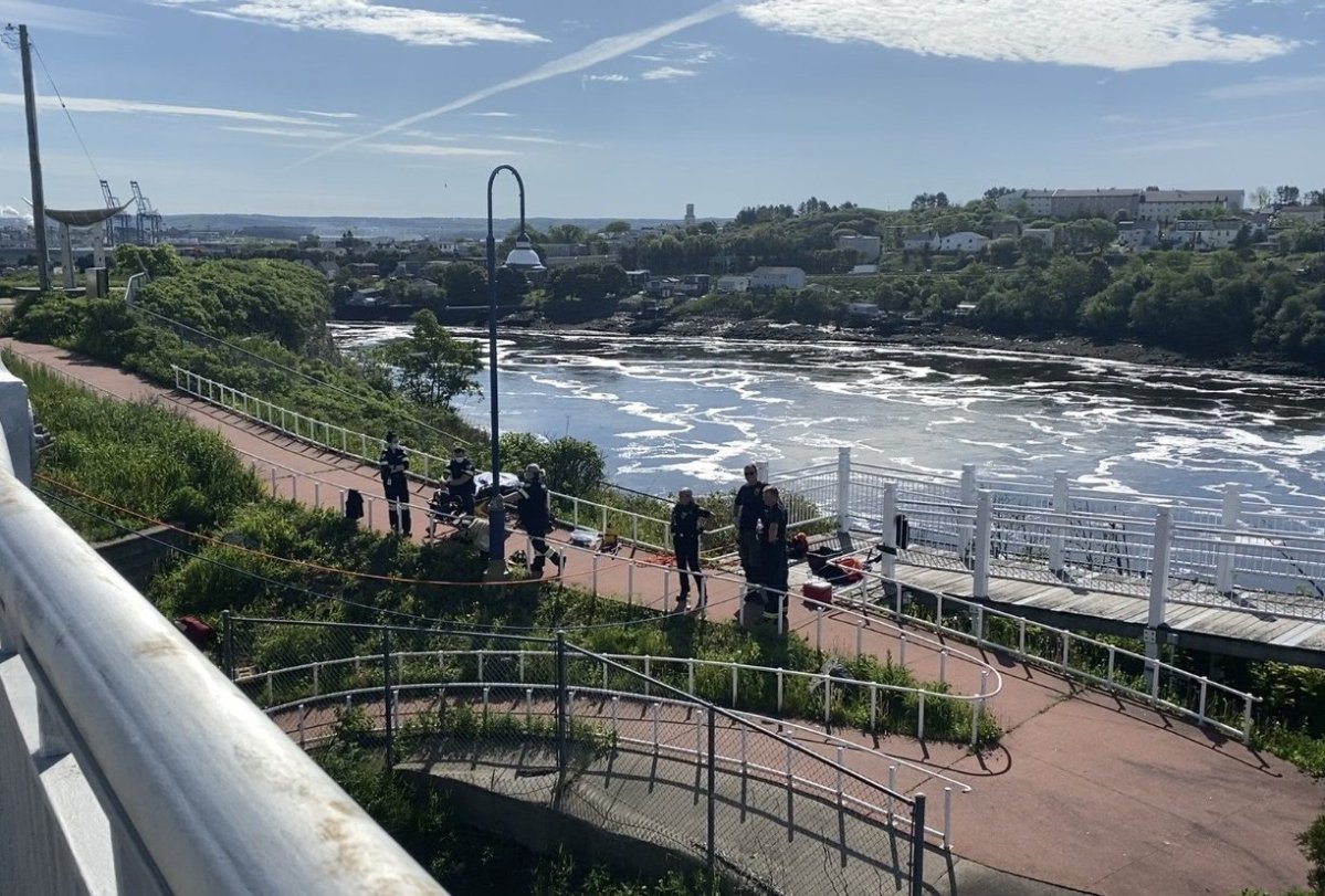 Reversing Falls could serve as a boundary, splitting Saint John into two federal ridings according to a proposal from the electoral Boundaries Commission. 