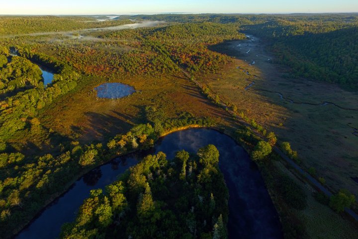 More land around central N.S. river now protected by Nature Conservancy of Canada