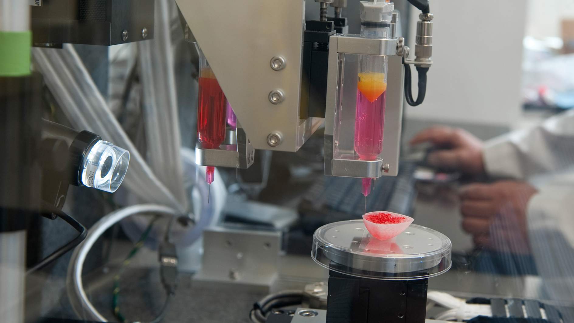 One of the state-of-the-art ‘bioprinters’ at the Wake Forest Institute for Regenerative Medicine creates a solid 3D scaffold in the shape of a human kidney.