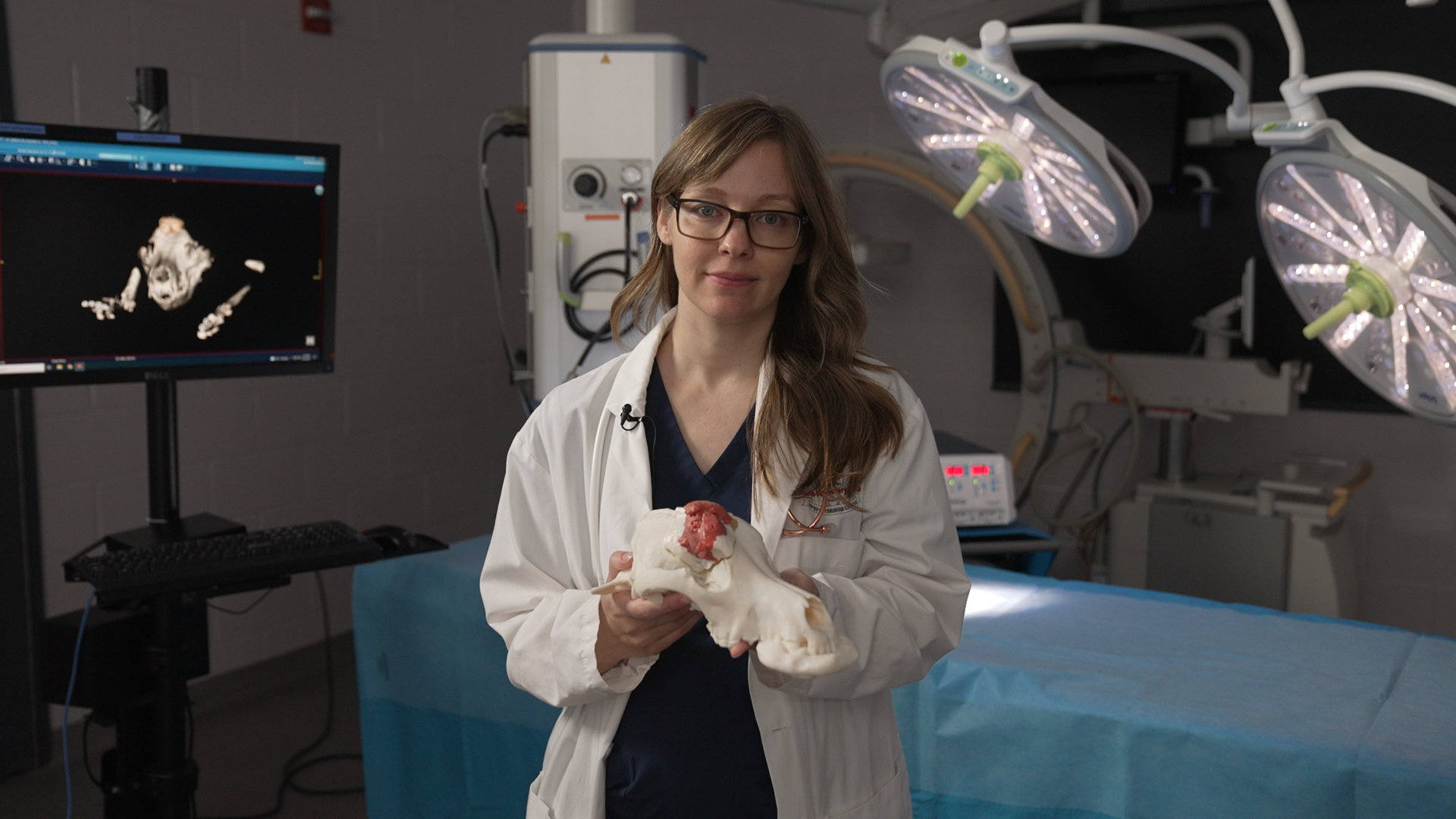 Dr. Michelle Oblak of the Ontario Veterinary College holds an exact replica of Murphy’s skull and tumour, which were created by a 3D printer using Murphy’s CAT scans as a template.