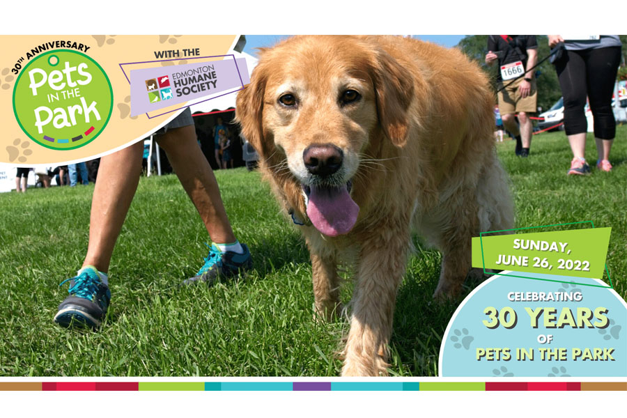 Global Edmonton supports: Pets in the Park - image