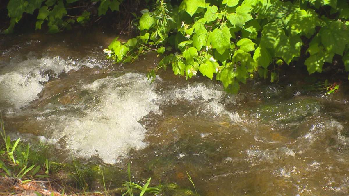 Evacuation alert issued for residents of the Sicamous Creek Mobile Home Park due to increased risk of landslide.