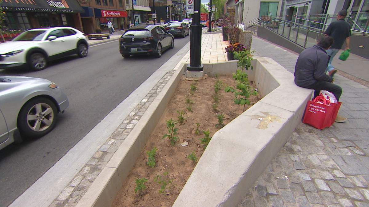 Much of the remaining work involves landscaping. The landscaping right now ‘isn’t HRM standard,’ Wilkinson says.