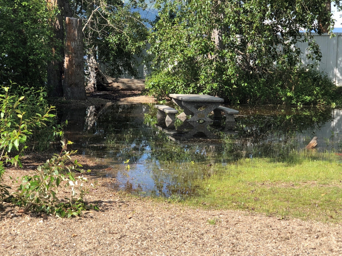 A photo showing rising water levels at Scotch Creek Wharf Road Community Park.