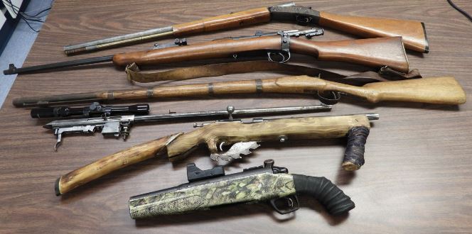 Several people are facing charges after police say a number of guns and ammunition were found in a home in the RM of Hanover Sunday.