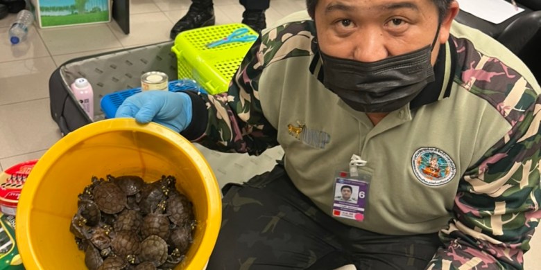 109 live animals found in women's luggage in wildlife smuggling bust