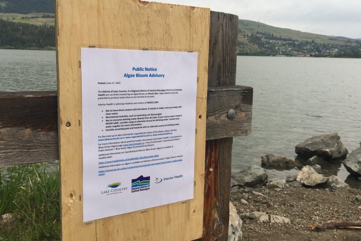 Warning signs posted of algae bloom in Wood Lake, B.C.
