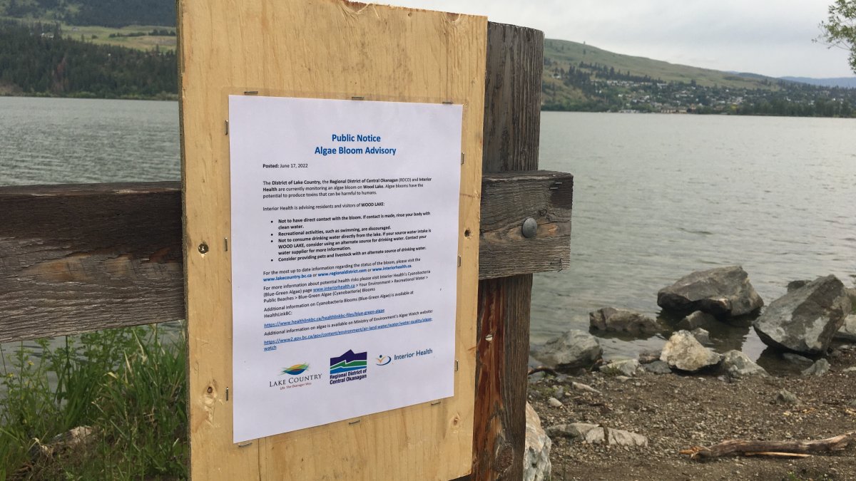 The public notices say lake users should not make contact with the algae bloom, but, if they do, to rise your body with clean water. Swimming is also discouraged.
