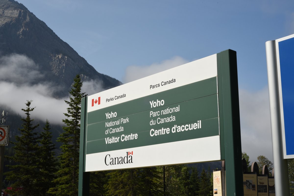 Yoho National Park. Police say there have been a number of collisions in the area this year involving bears. They’re now teaming up with Parks Canada to reduce accidents with wildlife.