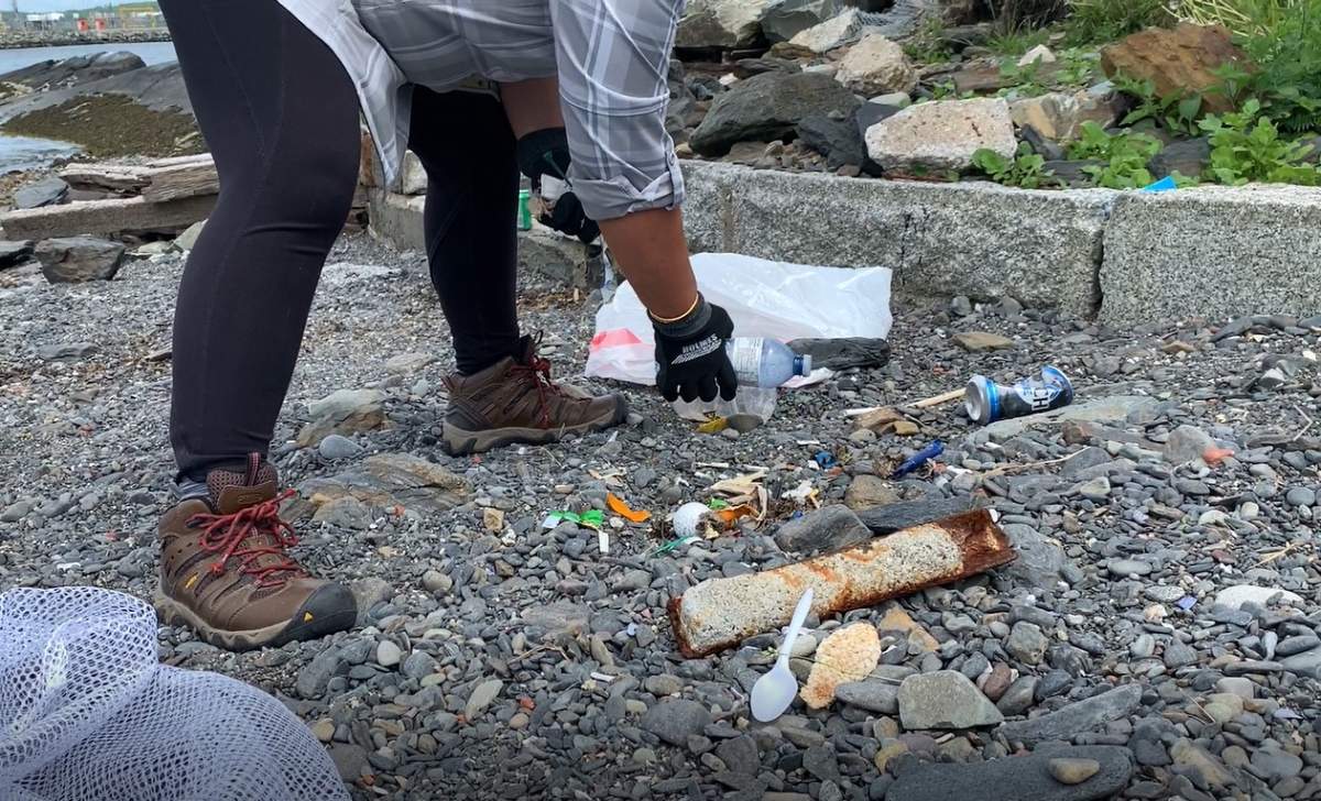 Dozens show up at Halifax park for shoreline cleanup amid Ocean Week - image