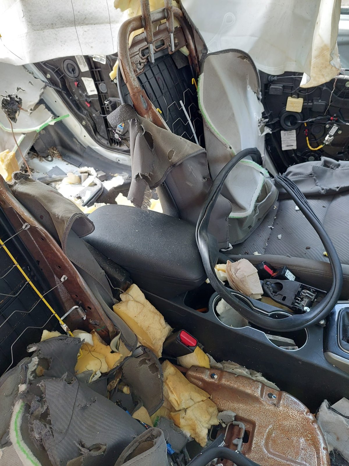 A black bear broke into Jackie Young's car in Malagash, N.S. and completely destroyed the interior.