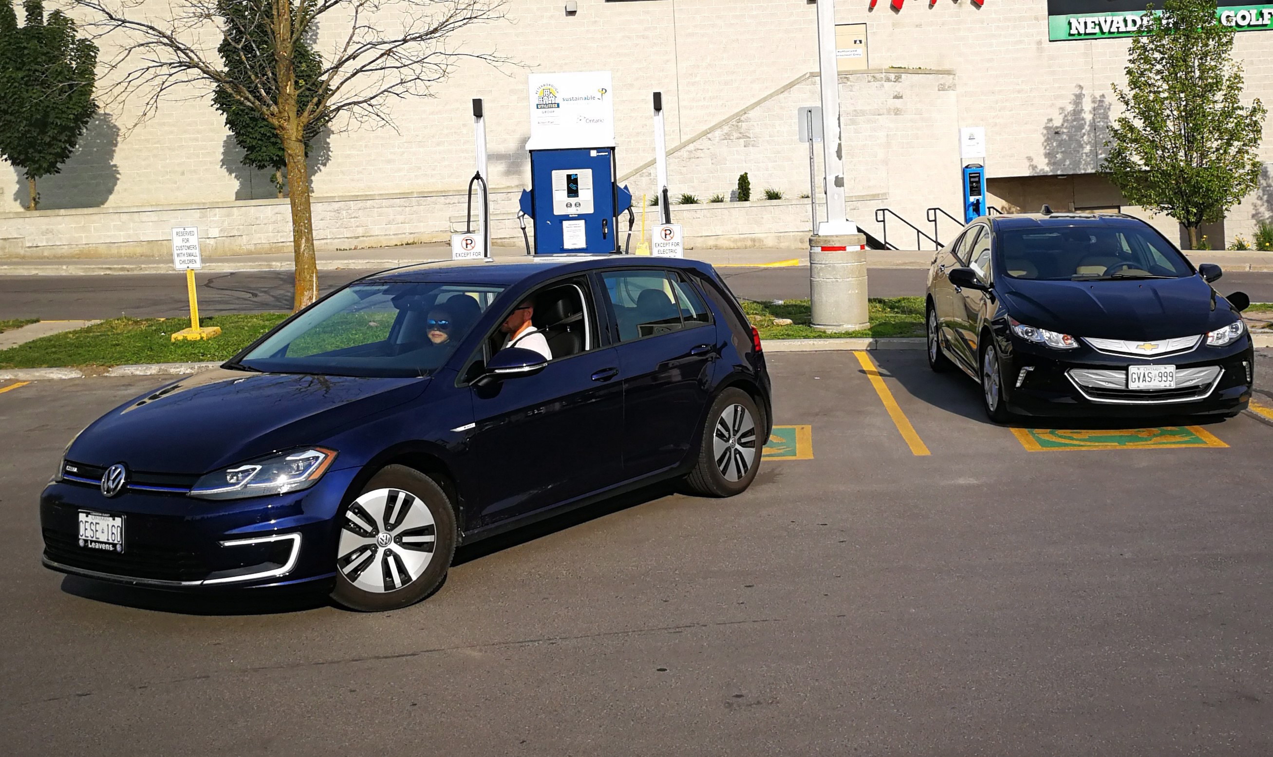 Canada must up incentives, charging capacity to meet EV goals: industry  groups - National 