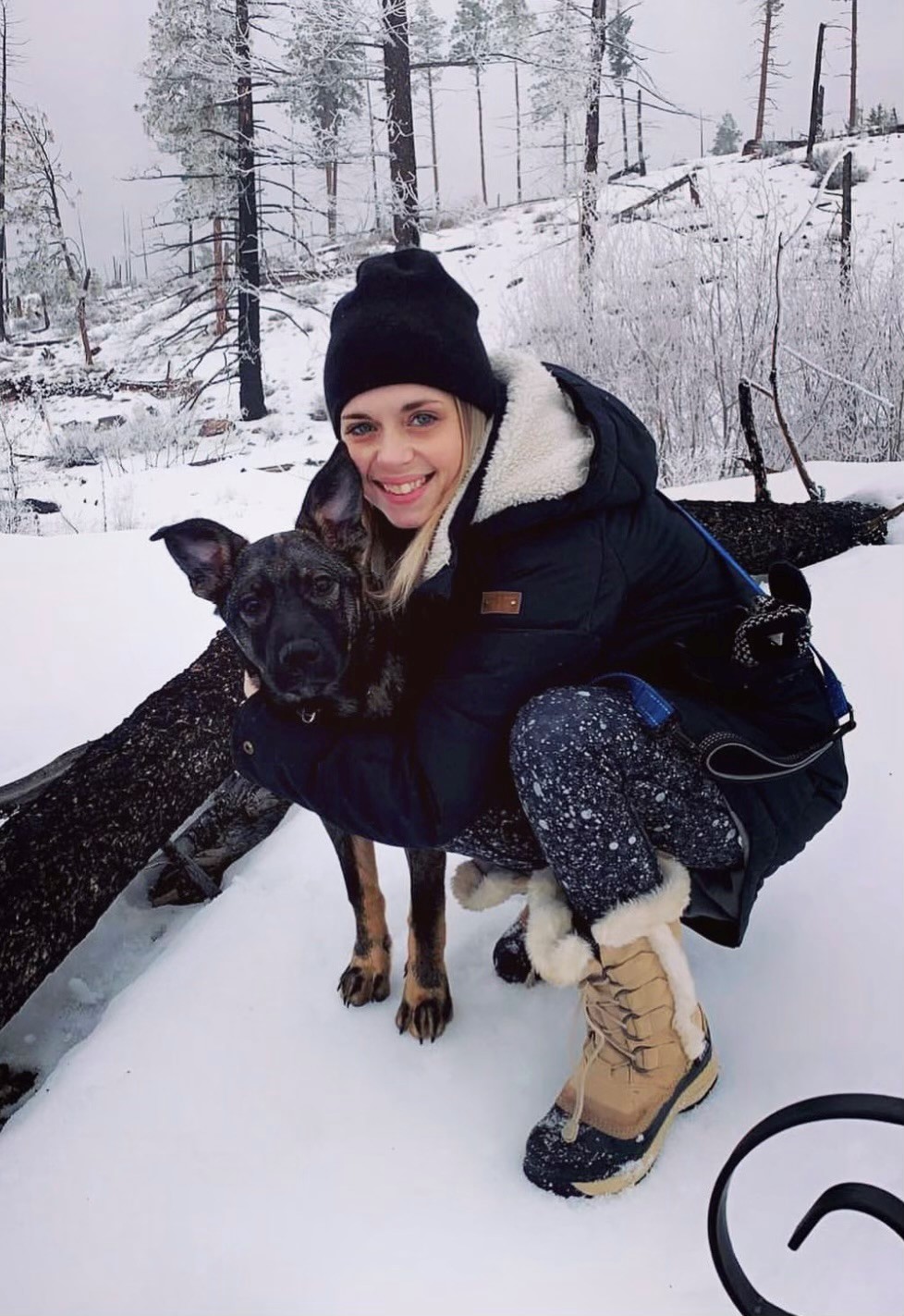 Search for Chelsea Cardno and her dog paused due to unfavorable weather conditions.