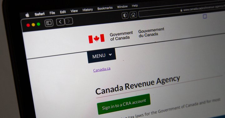 Tax season: A look at repayment options if you owe money to the CRA – National | Globalnews.ca