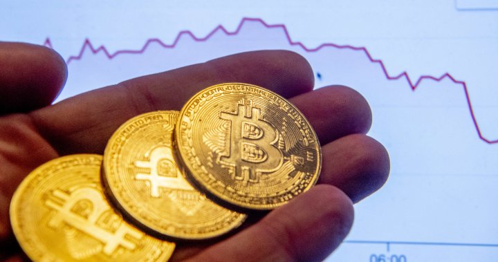 Bitcoin and crypto platforms are in trouble. What’s behind the collapse?