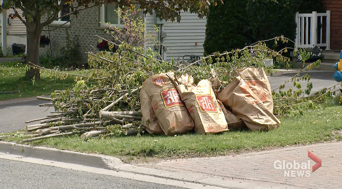 The City of Peterborough is offering special curbside green waste collection from the May 21 storm.
