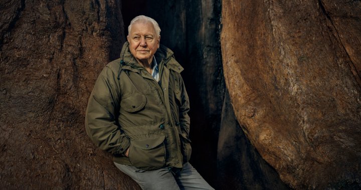 ‘The Green Planet’: David Attenborough explores the plant world in lush BBC Earth series