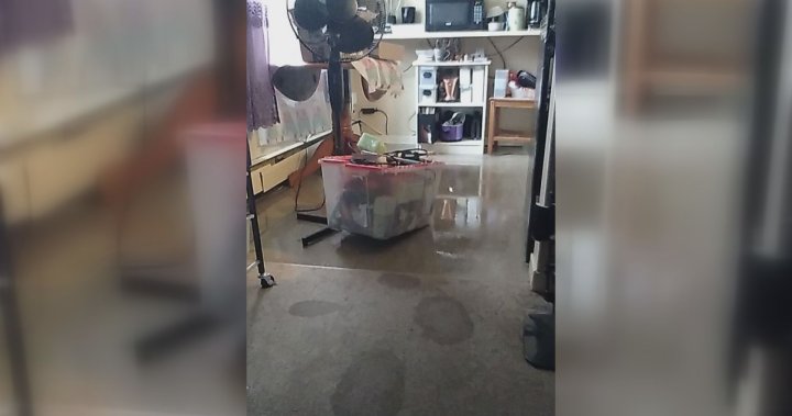 Edmonton apartment complex residents not happy with how building management handled flooding response