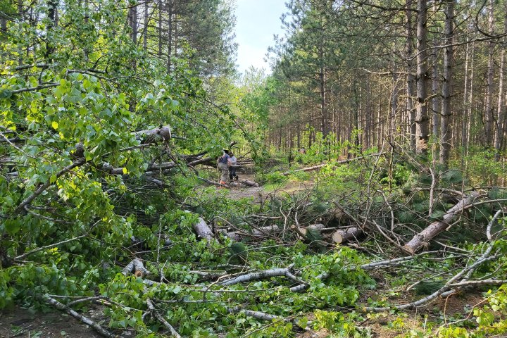 Ganaraska Forest remains closed following extensive damage from May 21 derecho storm