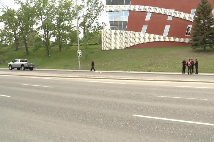 Calgary police seek witnesses after pedestrian hit on Macledod Trail