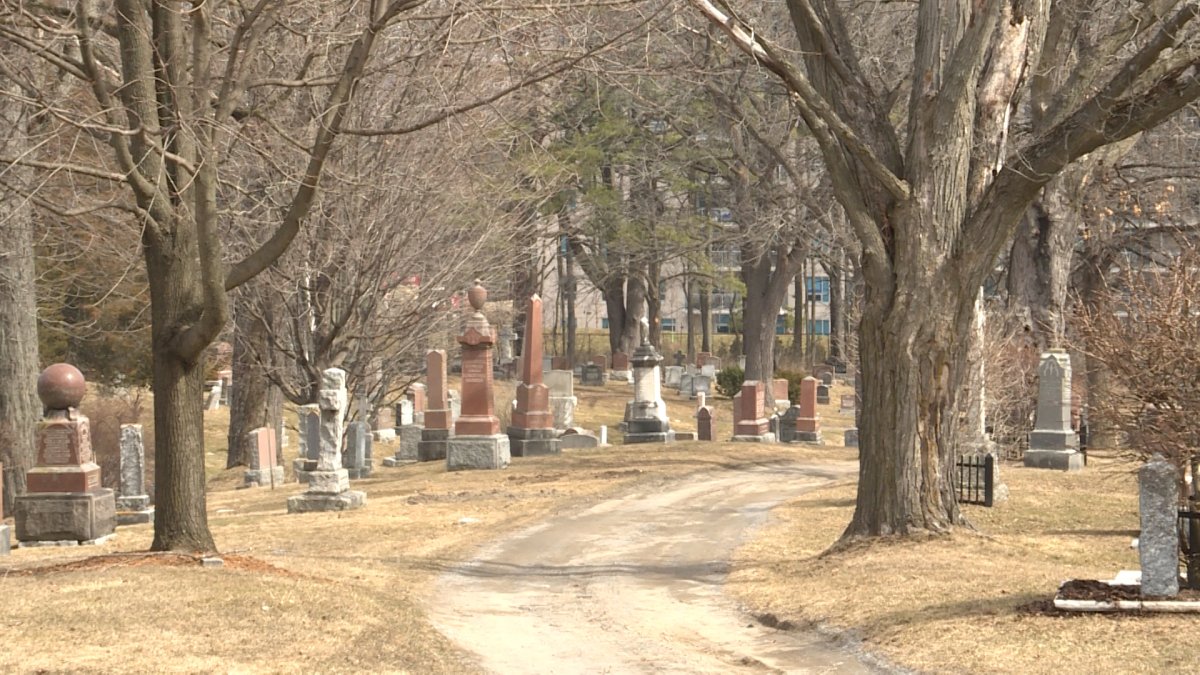 Kingston is one of a few Ontario cities to allow natural green burials as part of its drive to be Canada's most sustainable city.