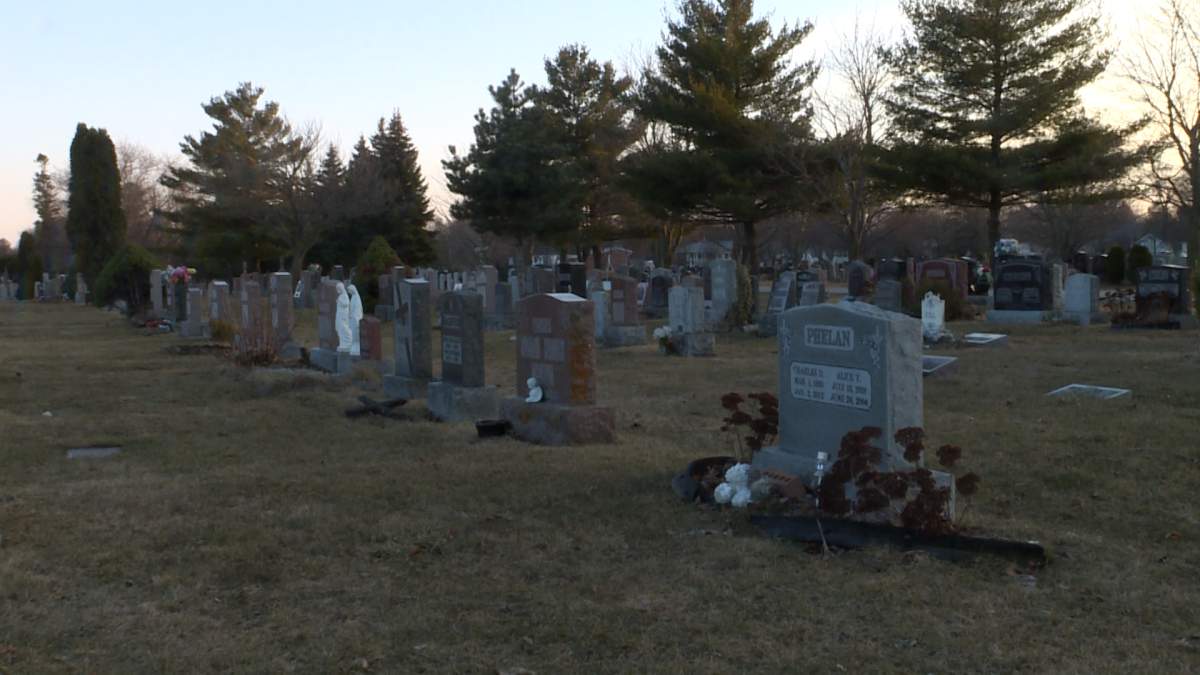 City council agreed to allocate 33 of the 51 remaining plots at Pine Grove cemetery for natural burials.
