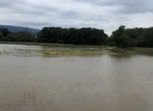 Mission Creek bursts its banks as rain continues to fall