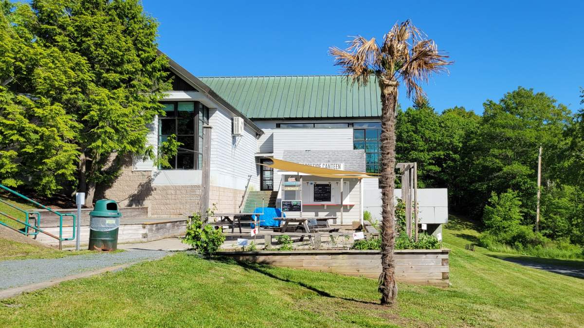There are still leaves on the tree at Shubie Park, but they appear brown and brittle.