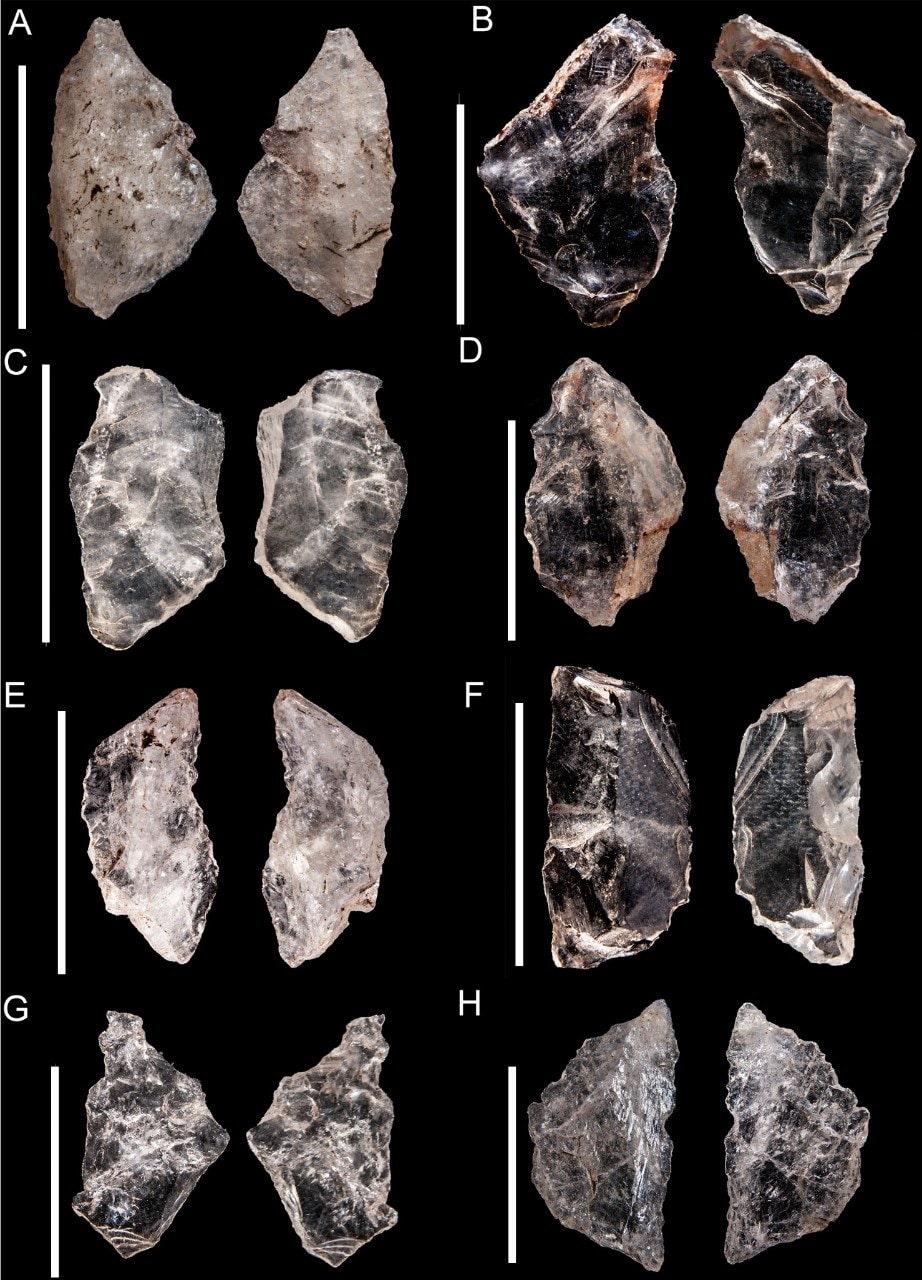 Stone tools from the Sibudu Cave site in South Africa, whose similarities with other tools in the region indicate that early humans were sharing knowledge with each other 65,000 years ago.