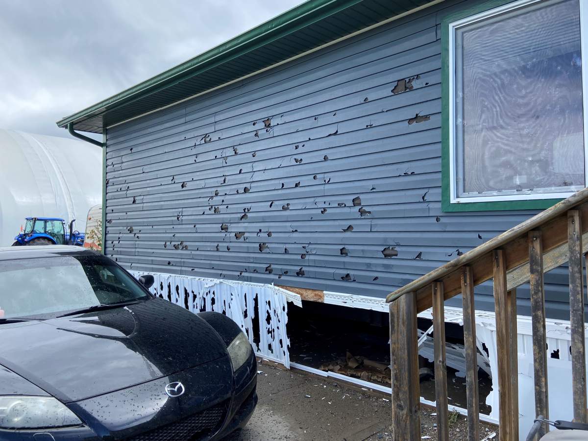 Pennacchietti’s home