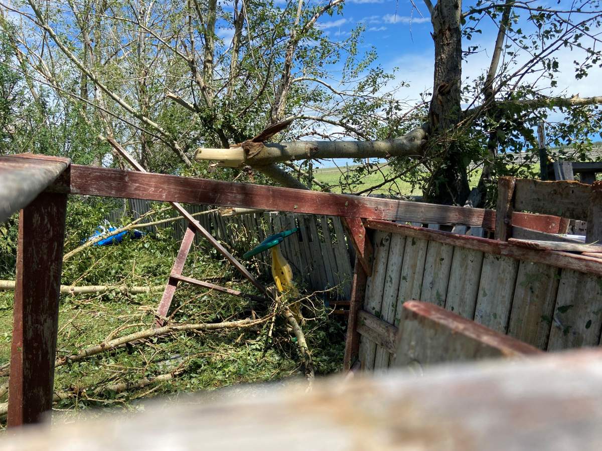 Playground structure tossed across the yard.