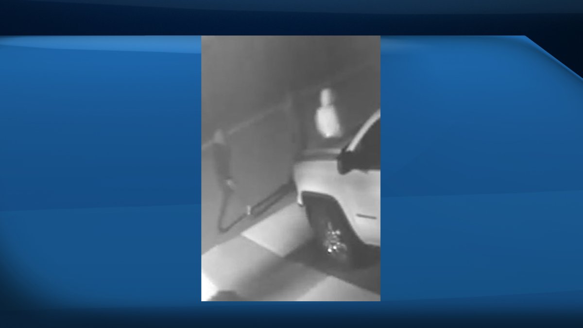 Waterloo Regional Police have released an image of three men they are looking to speak with in connection to the incidents.
