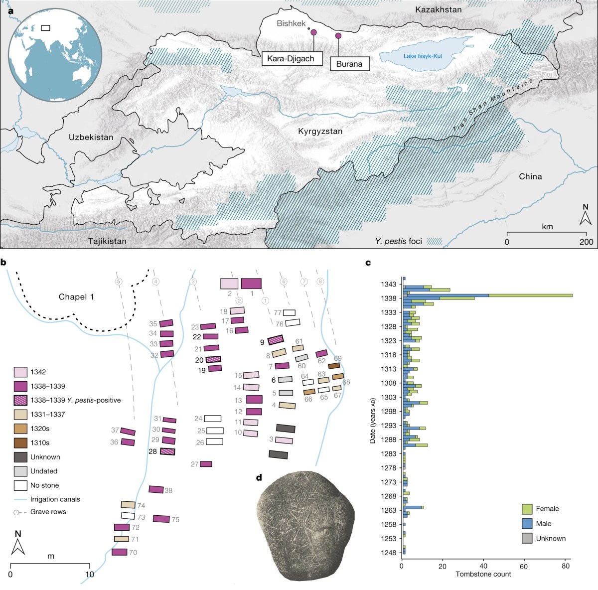 Figures from the study that pinpointed the origin of the Black Death, showing where researchers found the ancient bodies that held the original Y. pestis bacteria.